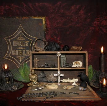 Curio, Rare & Oddities