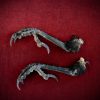 Curio_Animal_Raven-Talon-pair_sml (1).