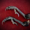 Curio_Animal_Raven-Talon-pair_sml (2).