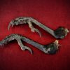 Curio_Animal_Raven-Talon-pair_sml (3).
