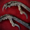 Curio_Animal_Raven-Talon-pair_sml (4).