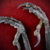 Curio_Animal_Raven-Talon-pair_sml (5).