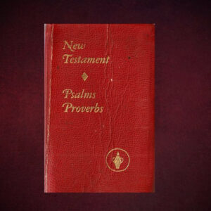 New Testament Psalms Proverbs