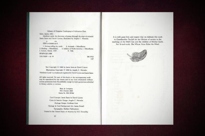Carson+Sams_Medicine-Cards(green-book)-inside-serif-crop-web (2)