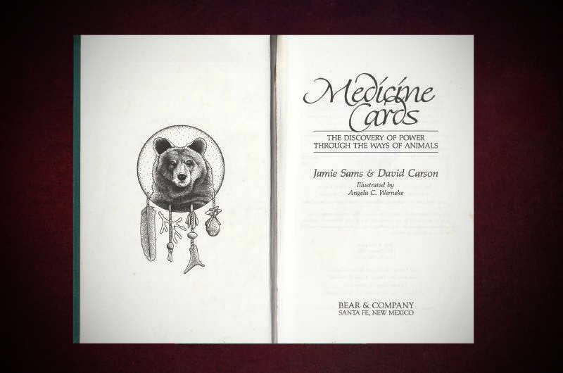 Carson+Sams_Medicine-Cards(green-book)-inside-serif-cropweb (1)