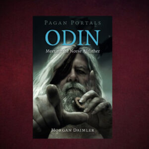 Odin : Meeting the Norse Allfather