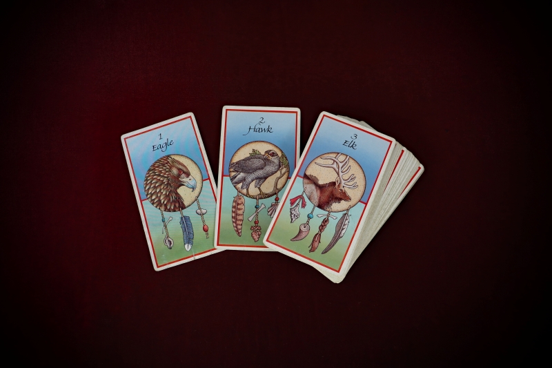 Divination_Medicine-Cards-Carson+Sams-web (5)