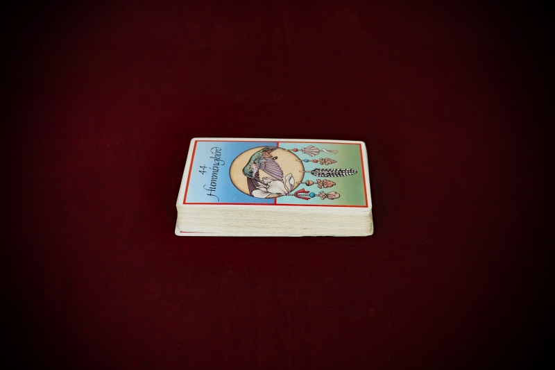 Divination_Medicine-Cards-Carson+Sams-web (6)