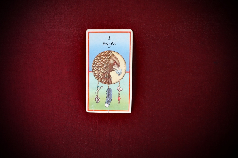 Divination_Medicine-Cards-Carson+Sams-web (8)