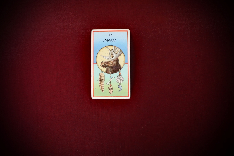 Divination_Medicine-Cards-Carson+Sams-web (9)