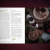 Kiernan-Anjou_The-Witch's-Wheel-of-the-Year_9781592339839_inside-3-serif-lg-crop-web