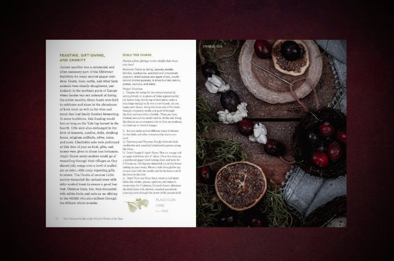 Kiernan-Anjou_The-Witch's-Wheel-of-the-Year_9781592339839_inside-3-serif-lg-crop-web