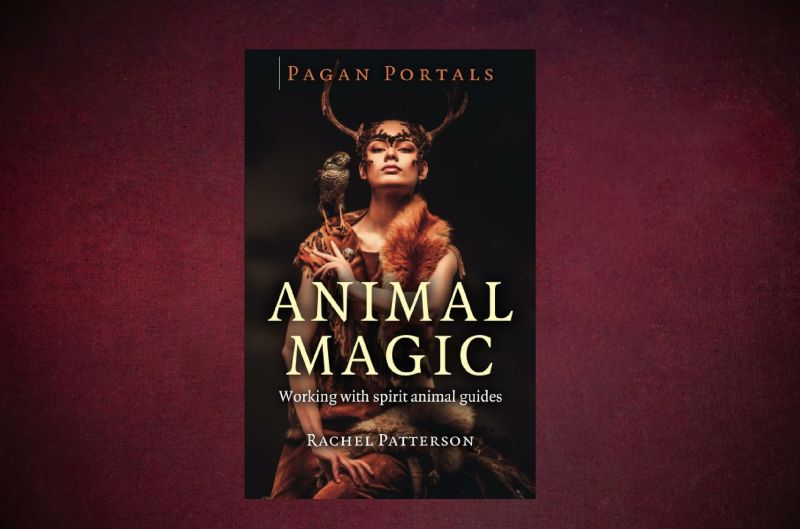 Patterson-Rachel_Animal-Magic_9781785354946_afront-serif-lg-crop-web