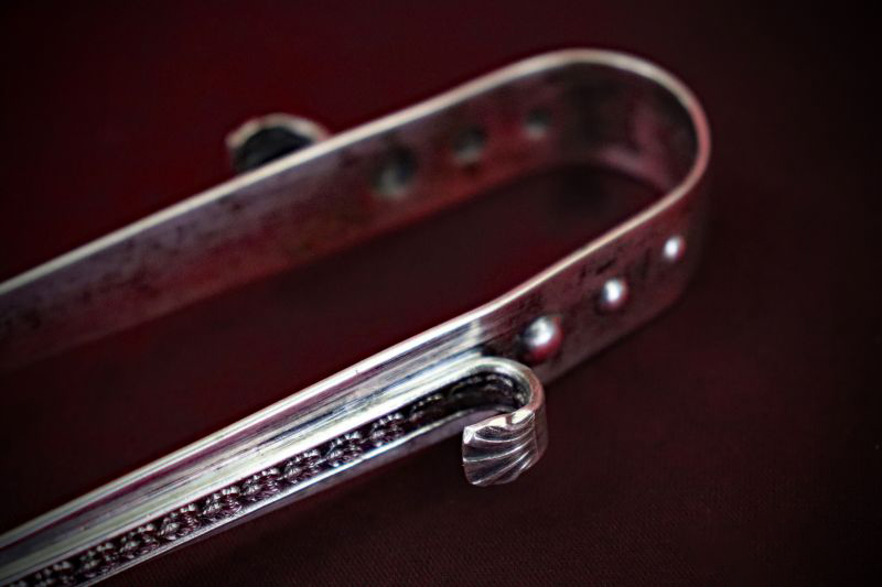 Altar_Tongs#3-Robust-Lion-Claw-web (5)