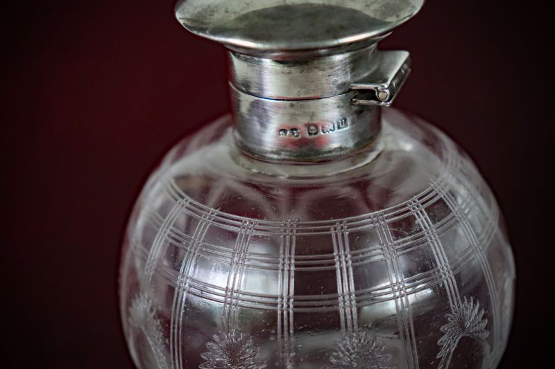 Curio_Bottle-Glass+S.Silver-web (6)