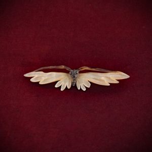 Horn Butterfly Brooch