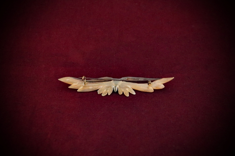 Jewellery_Vintage-Brooch#13-Tortoise-Shell-Butterfly-web (2)