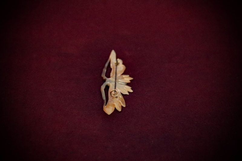 Jewellery_Vintage-Brooch#13-Tortoise-Shell-Butterfly-web (3)