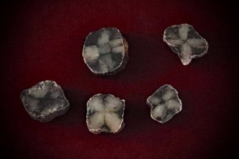 Ritual-Worship_Crystal-Stone-Raw-Chiastolite-web (3)
