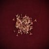 Apothecary_Herb-Rose-Black-Magic-thorns-web (1) NEW
