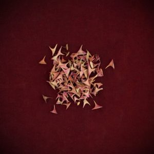 Rose Thorns 'Red Black Magic'