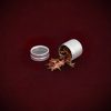 Apothecary_Herb-Rose-Black-Magic-thorns-web (4)