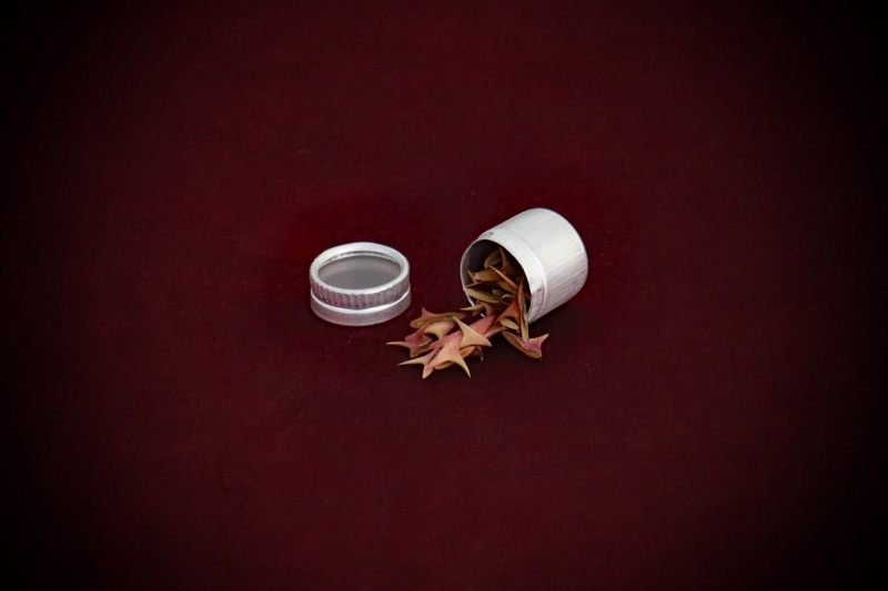 Apothecary_Herb-Rose-Black-Magic-thorns-web (4)