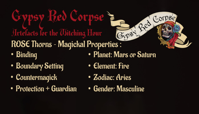 Apothecary_Herb-Rose-Black-Magic-thorns-web (5b)
