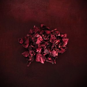 Rose Petals 'Red Black Magic'