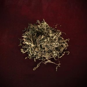 Tansy Leaves