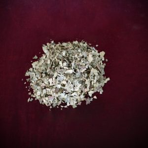 Witch Hazel Leaves