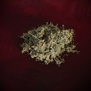 Wormwood Leaves
