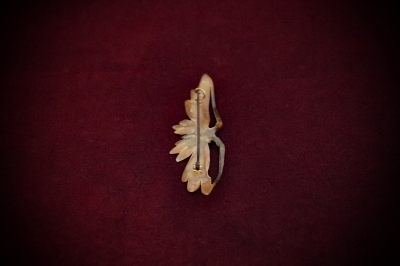 Curio_Animal-Brooch#01-Tortoise-Shell-Butterfly-web (4)