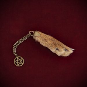 Wild Hare’s Foot Talisman ‘A’