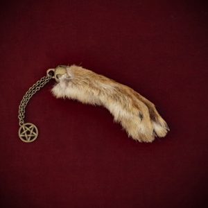 Wild Hare’s Foot Talisman ‘B’