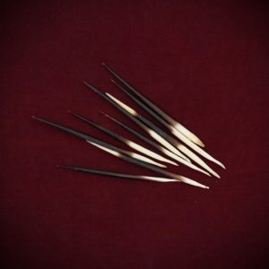 Porcupine Quills