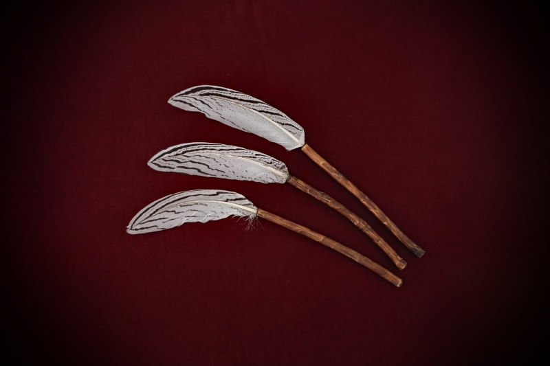 Ritual-Worship_Feather-Wand#03-Pheasant-SA-web (1)
