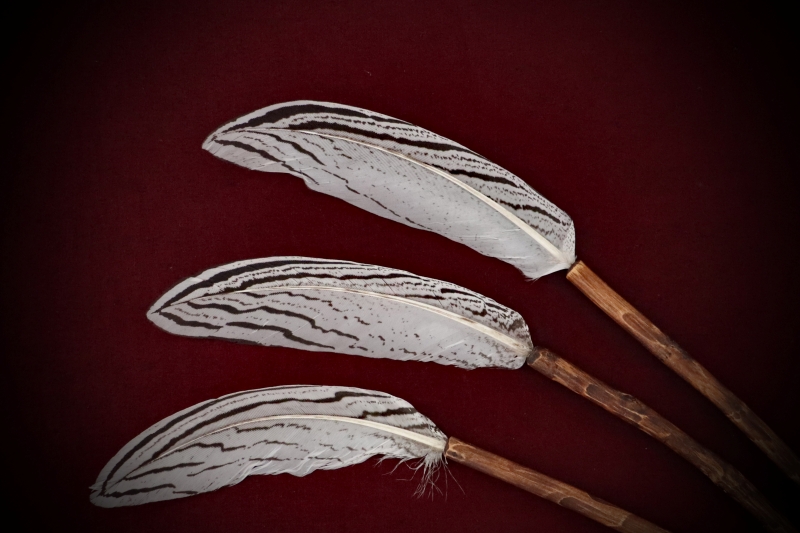 Ritual-Worship_Feather-Wand#03-Pheasant-SA-web (2)