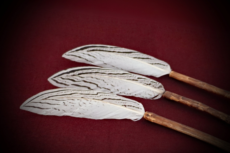 Ritual-Worship_Feather-Wand#03-Pheasant-SA-web (4)