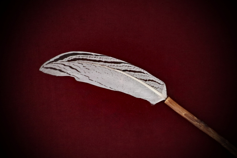 Ritual-Worship_Feather-Wand#03-Pheasant-SA-web (8)