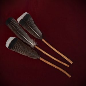 Feather Wand ‘Elder + Turkey Tail’