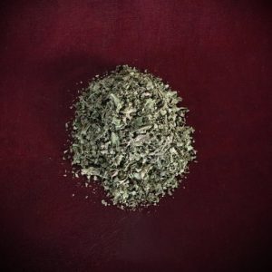 Balm of Gilead Leaves + Flower Buds