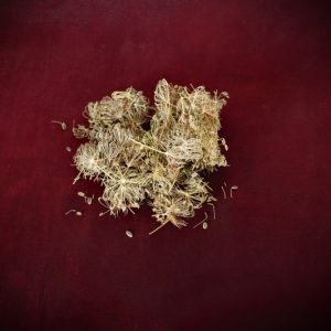 Dill Seeds