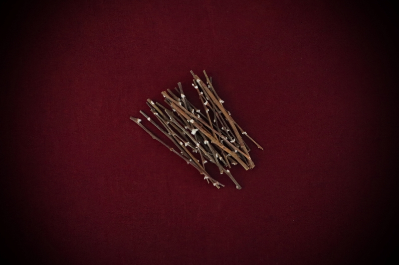 Shop Dried Pussy Willow Bare Stems in 15 or 30-packs. Curated by Gypsy Red Corpse for wands, Imbolc altars, and protection rituals. Select your size now!