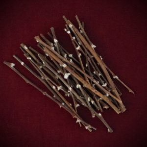 Shop Dried Pussy Willow Bare Stems curated by Gypsy Red Corpse. Perfect for wands, Imbolc altars, and protection spells. Get a 30-pack of 10-13cm stems now!