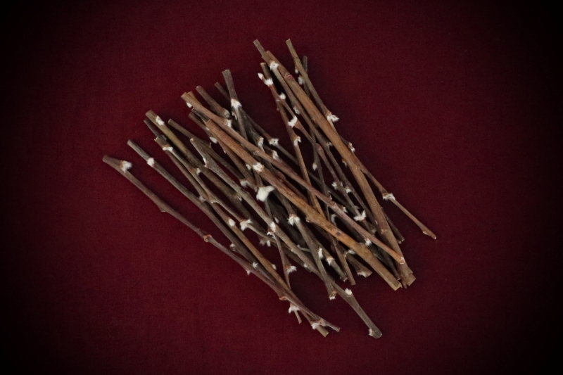 Shop Dried Pussy Willow Bare Stems curated by Gypsy Red Corpse. Perfect for wands, Imbolc altars, and protection spells. Get a 30-pack of 10-13cm stems now!