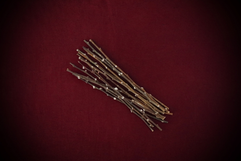 Shop Dried Pussy Willow Bare Stems curated by Gypsy Red Corpse. Perfect for wands, Imbolc altars, and protection spells. Get a 15-pack of 20-22cm stems now!