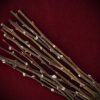 Shop Dried Pussy Willow Bare Stems curated by Gypsy Red Corpse. Perfect for wands, Imbolc altars, and protection spells. Get a 15-pack of 20-22cm stems now!