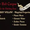 Shop Dried Pussy Willow Bare Stems in 15 or 30-packs. Curated by Gypsy Red Corpse for wands, Imbolc altars, and protection rituals. Select your size now!