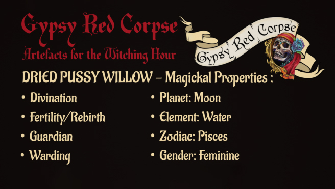 Shop Dried Pussy Willow Bare Stems in 15 or 30-packs. Curated by Gypsy Red Corpse for wands, Imbolc altars, and protection rituals. Select your size now!